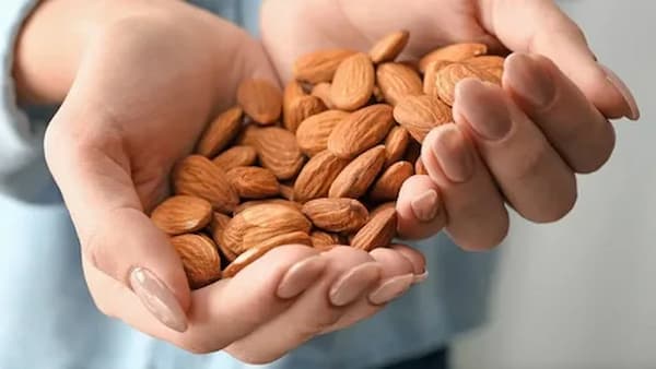 تصویر 4 از خرید بادام سنگی درجه یک + قیمت فروش استثنایی